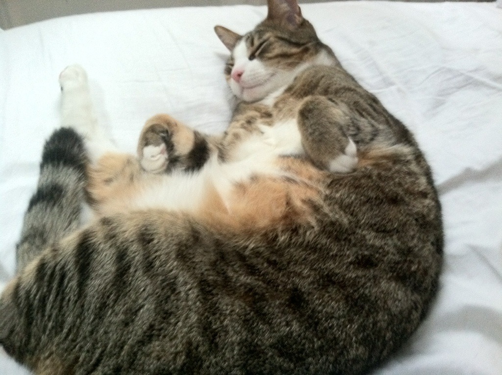 决胜夜，他燃烧世界排名，乔治以血肉之躯重写规则