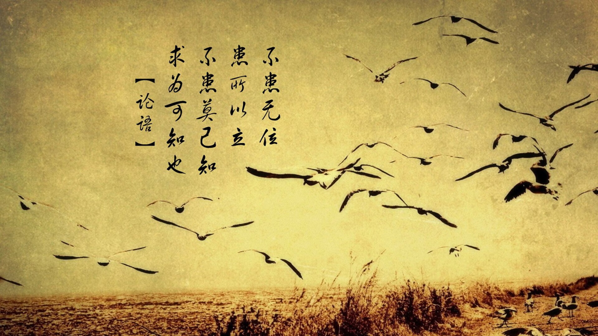 铁血意志的传承者,当马竞灵魂附体,莫德里奇完美诠释何为淘汰荷兰