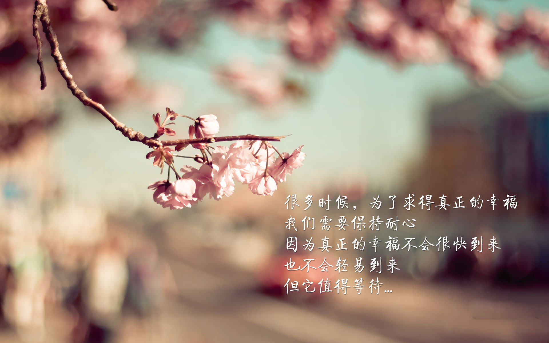 红龙逆鳞，孙兴慜的孤勇与威尔士的涅槃，巴西王朝的黄昏一战